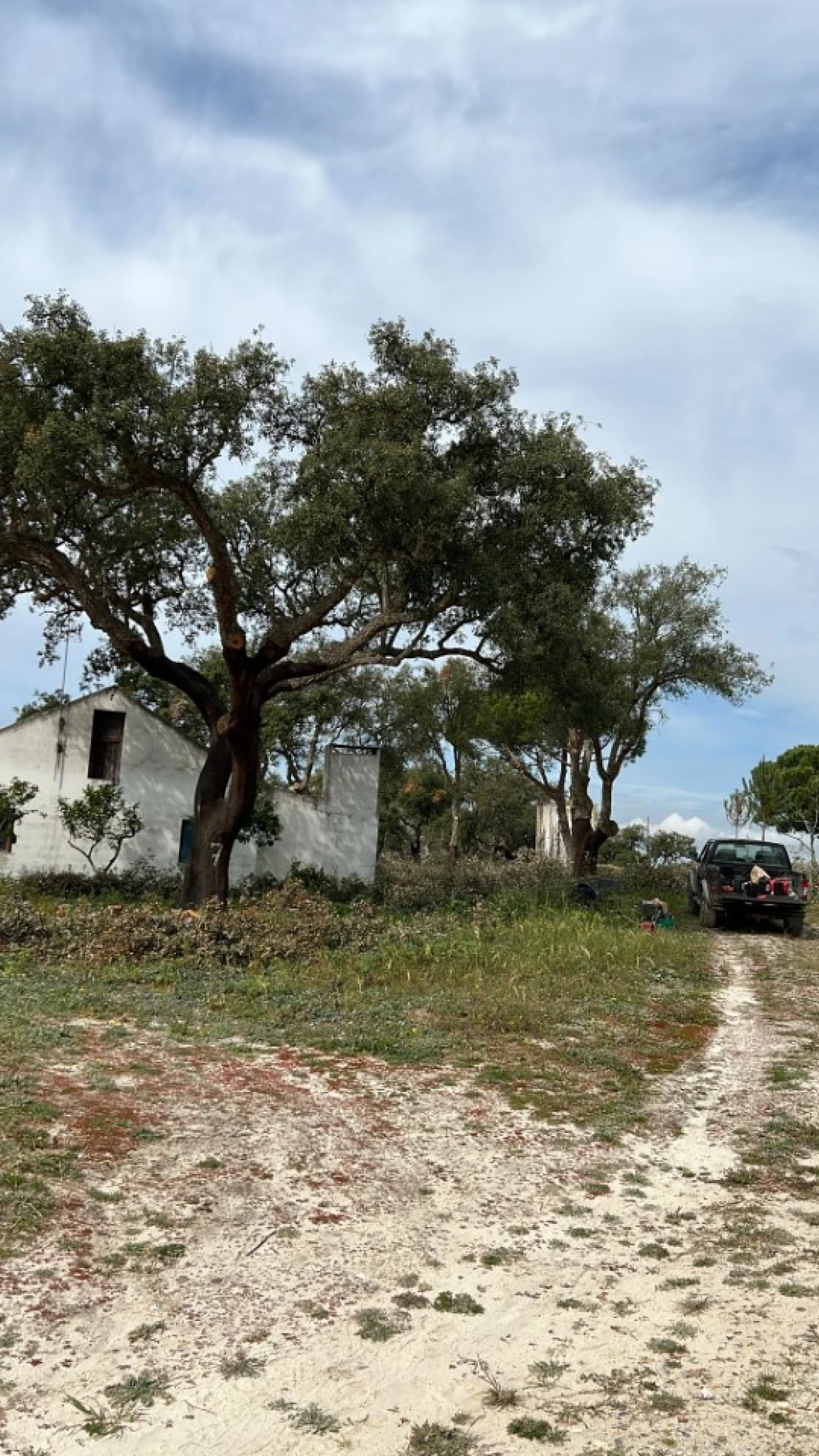 Quinta T9 para Venda em Santa Maria do Castelo e Santiago e Santa Susana Foto 14