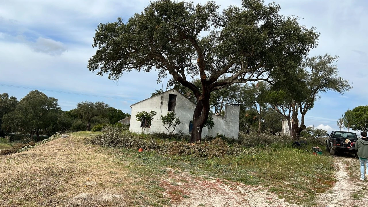 Quinta T9 para Venda em Santa Maria do Castelo e Santiago e Santa Susana Foto 15