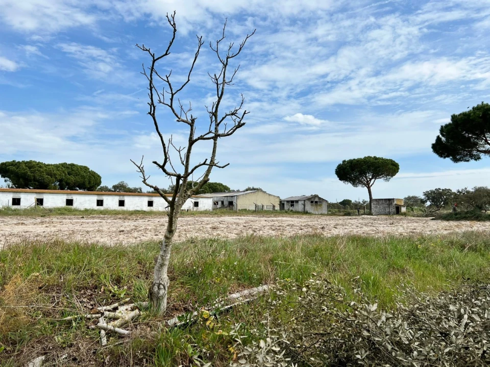 Quinta T9 para Venda em Santa Maria do Castelo e Santiago e Santa Susana Foto 17