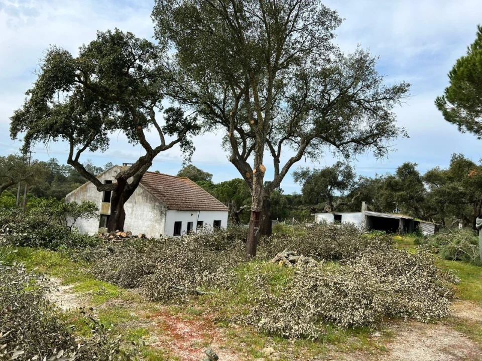 Quinta T9 para Venda em Santa Maria do Castelo e Santiago e Santa Susana Foto 19