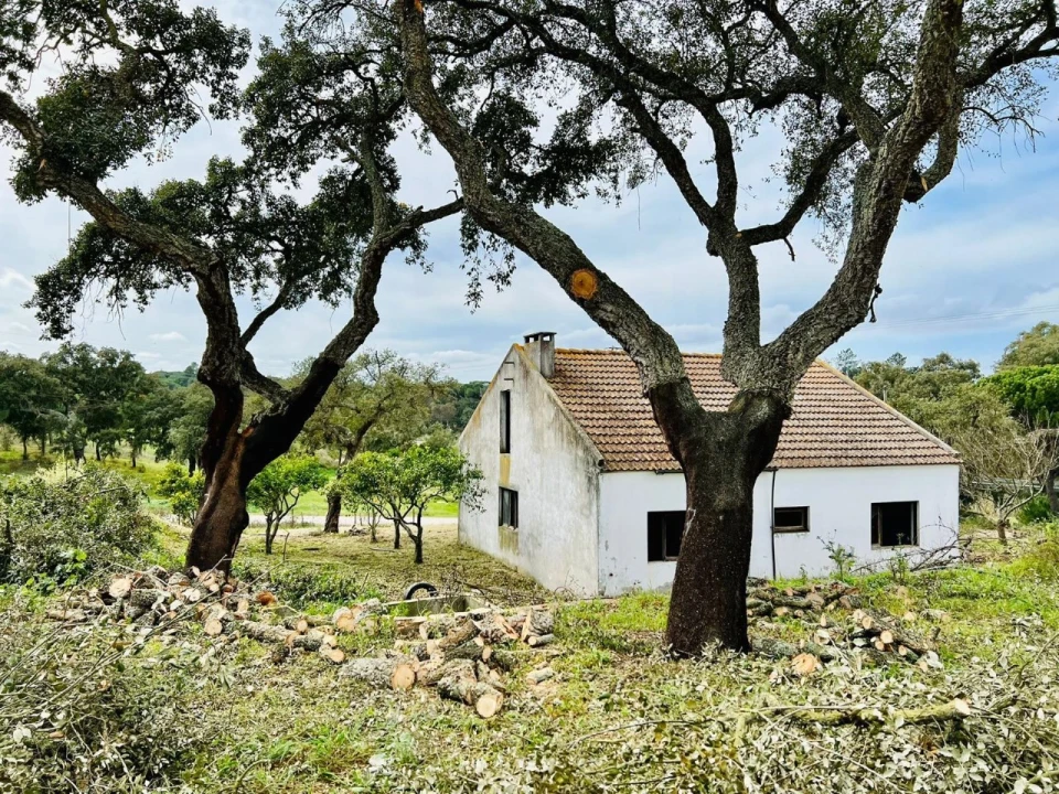 Quinta T9 para Venda em Santa Maria do Castelo e Santiago e Santa Susana Foto 20