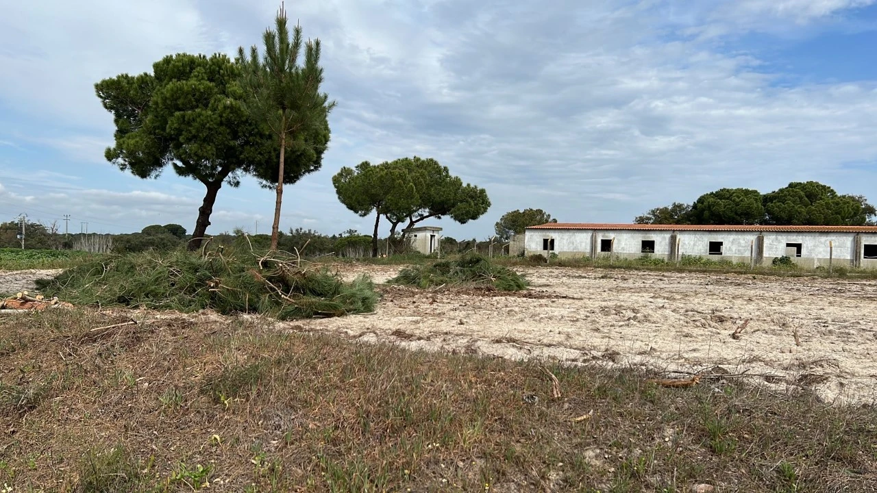 Quinta T9 para Venda em Santa Maria do Castelo e Santiago e Santa Susana Foto 21