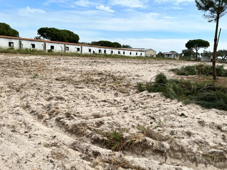 Quinta T9 para Venda em Santa Maria do Castelo e Santiago e Santa Susana Foto 22