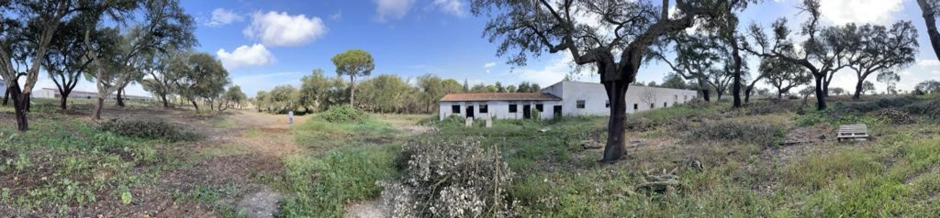 Quinta T9 para Venda em Santa Maria do Castelo e Santiago e Santa Susana Foto 23