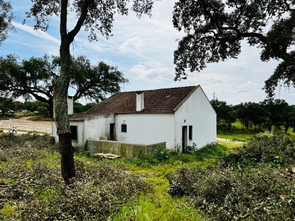 Quinta T9 para Venda em Santa Maria do Castelo e Santiago e Santa Susana Foto 26