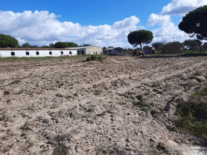 Quinta T9 para Venda em Santa Maria do Castelo e Santiago e Santa Susana Foto 10