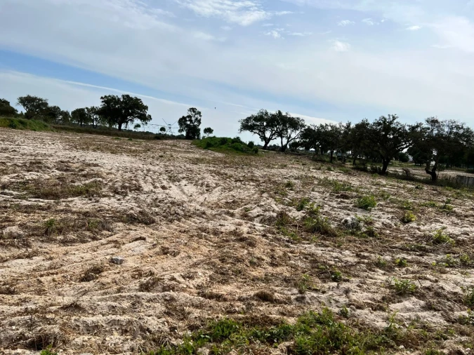 Quinta T9 para Venda em Santa Maria do Castelo e Santiago e Santa Susana Foto 13