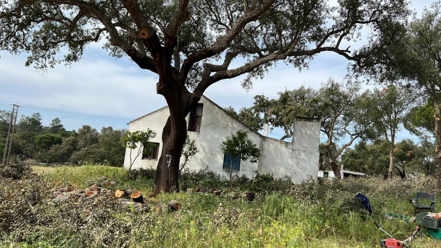 Quinta T9 para Venda em Santa Maria do Castelo e Santiago e Santa Susana Foto 16