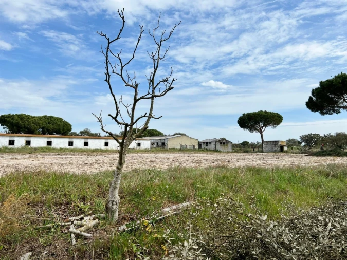 Quinta T9 para Venda em Santa Maria do Castelo e Santiago e Santa Susana Foto 17