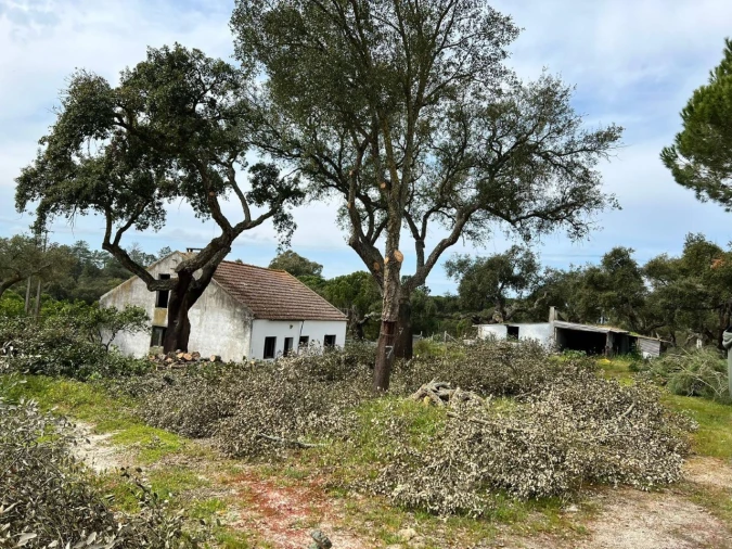 Quinta T9 para Venda em Santa Maria do Castelo e Santiago e Santa Susana Foto 19