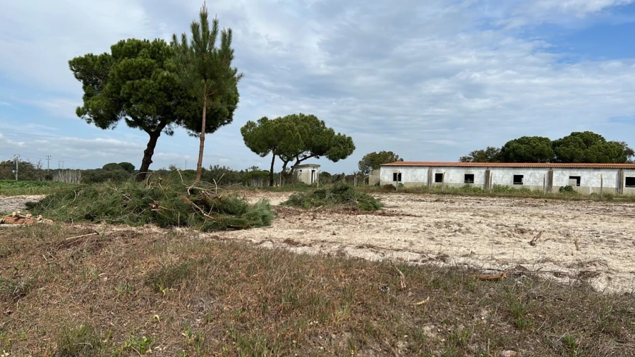 Quinta T9 para Venda em Santa Maria do Castelo e Santiago e Santa Susana Foto 21