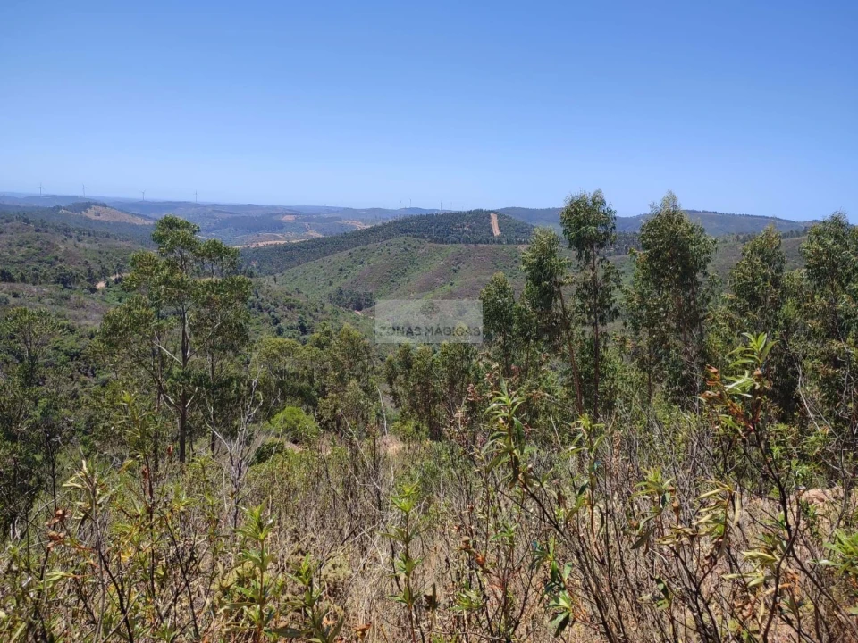 Terreno para Venda em Marmelete Foto 16