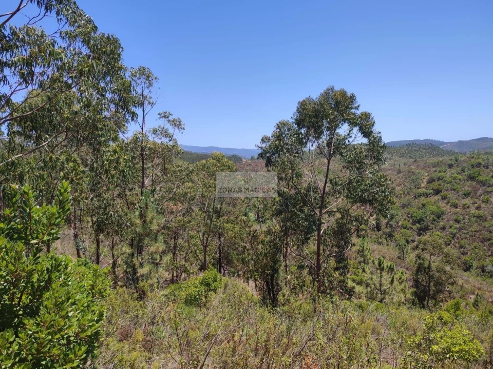 Terreno para Venda em Marmelete Foto 9