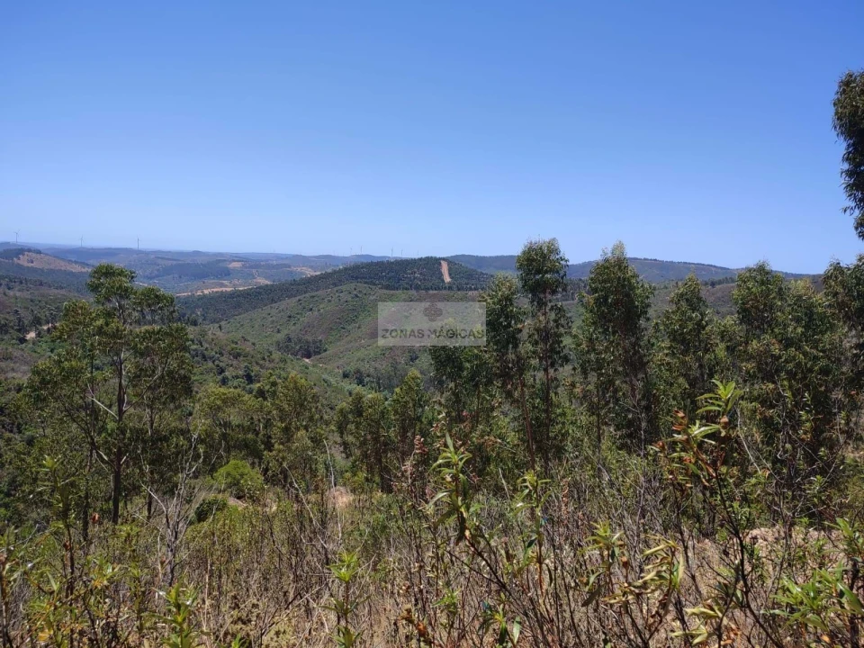 Terreno para Venda em Marmelete Foto 1