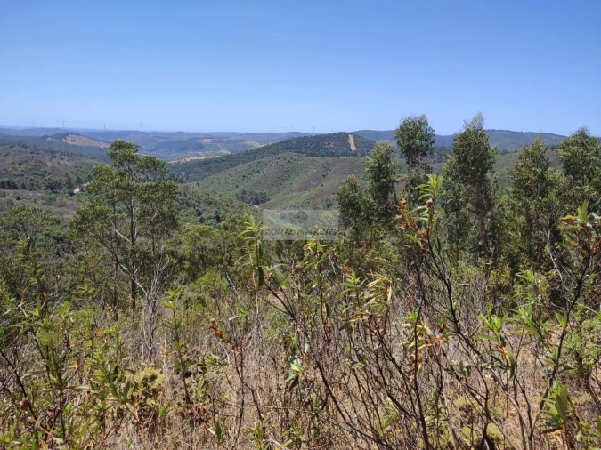 Terreno para Venda em Marmelete Foto 15