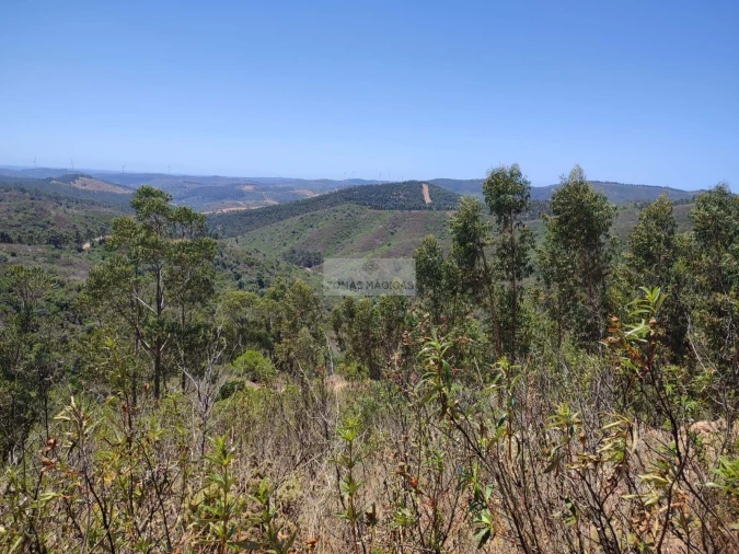 Terreno para Venda em Marmelete Foto 16