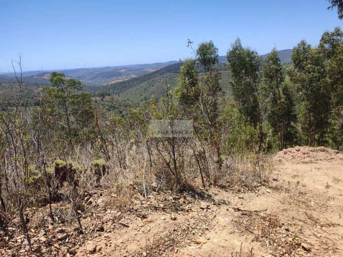 Terreno para Venda em Marmelete Foto 13