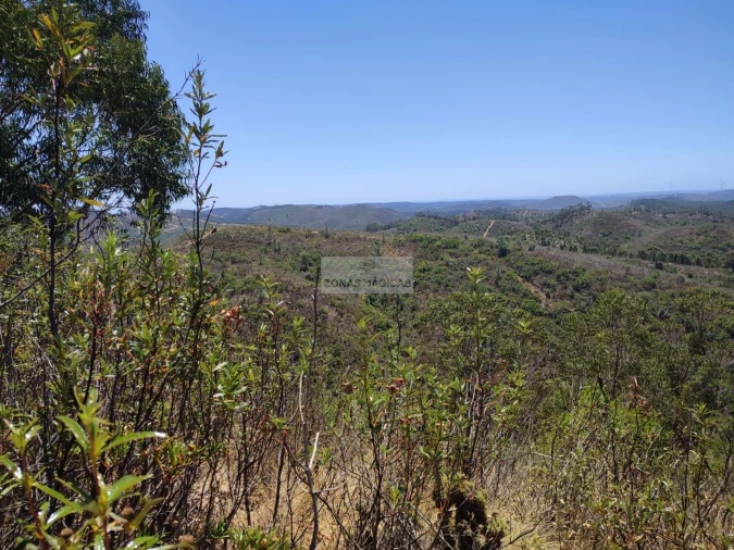 Terreno para Venda em Marmelete Foto 14