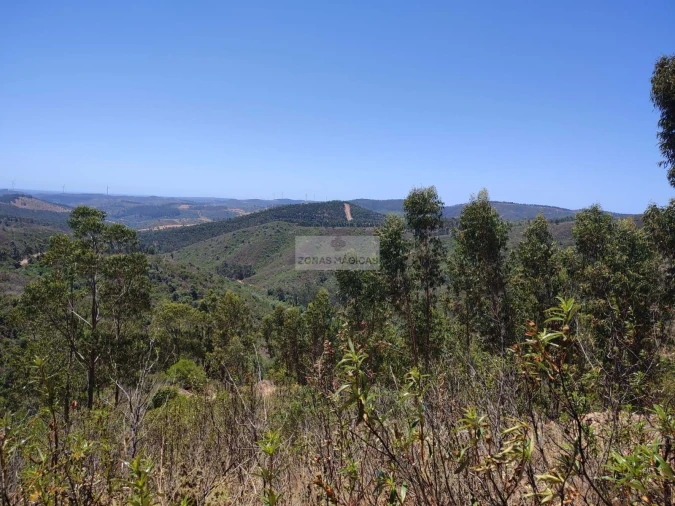 Terreno para Venda em Marmelete Foto 1