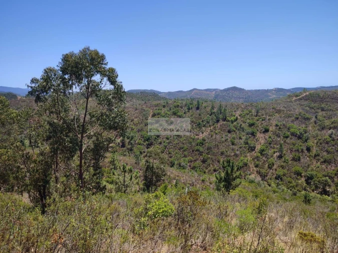 Terreno para Venda em Marmelete Foto 7