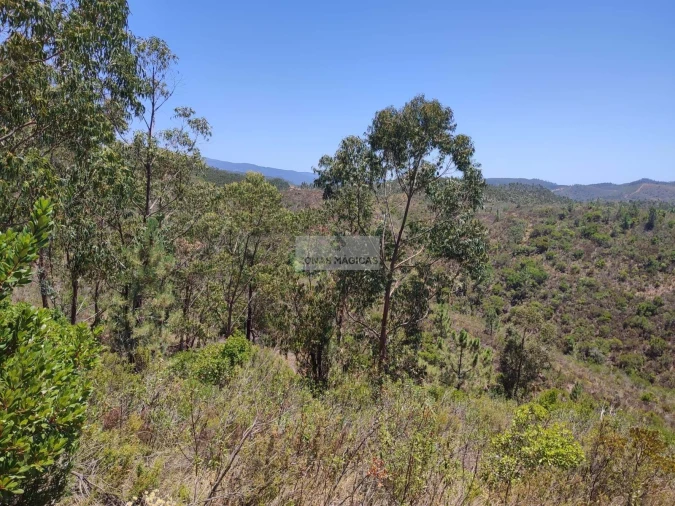 Terreno para Venda em Marmelete Foto 8
