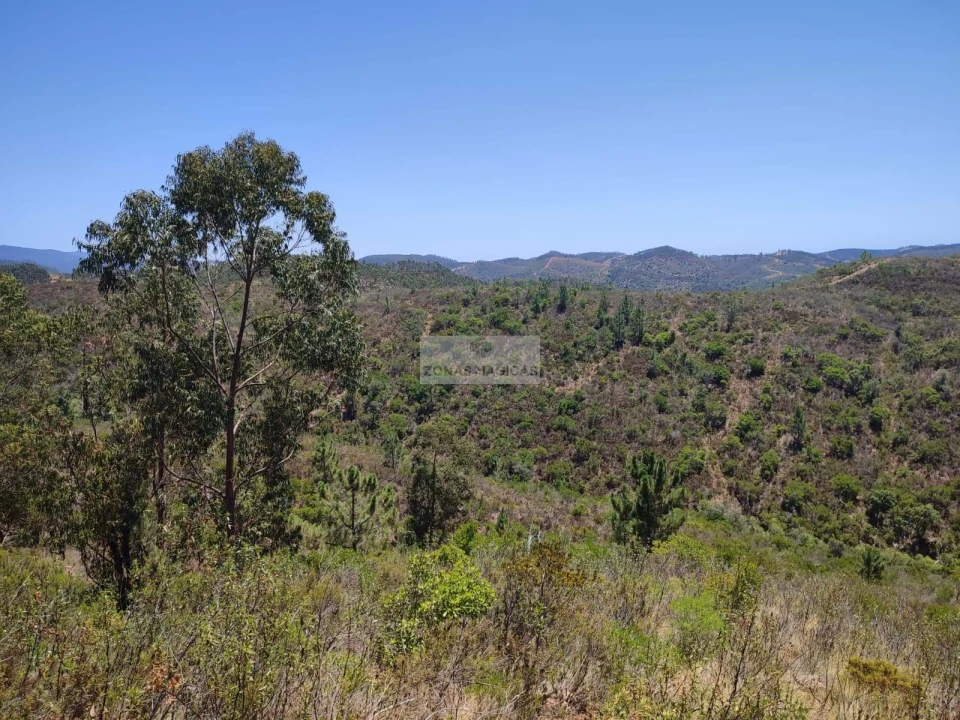 Terreno para Venda em Marmelete Foto 7