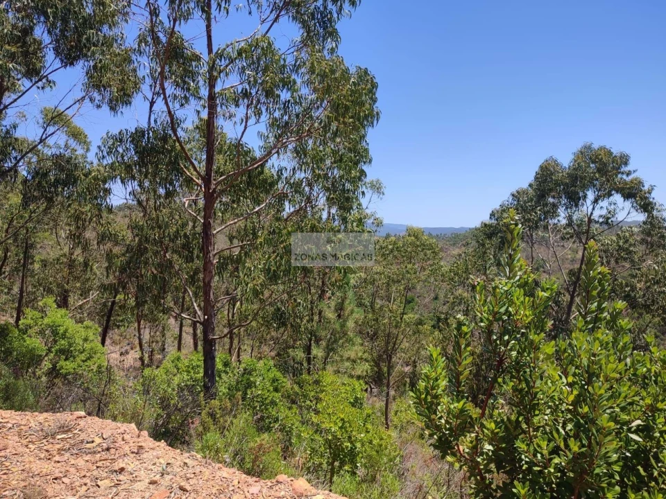Terreno para Venda em Marmelete Foto 6