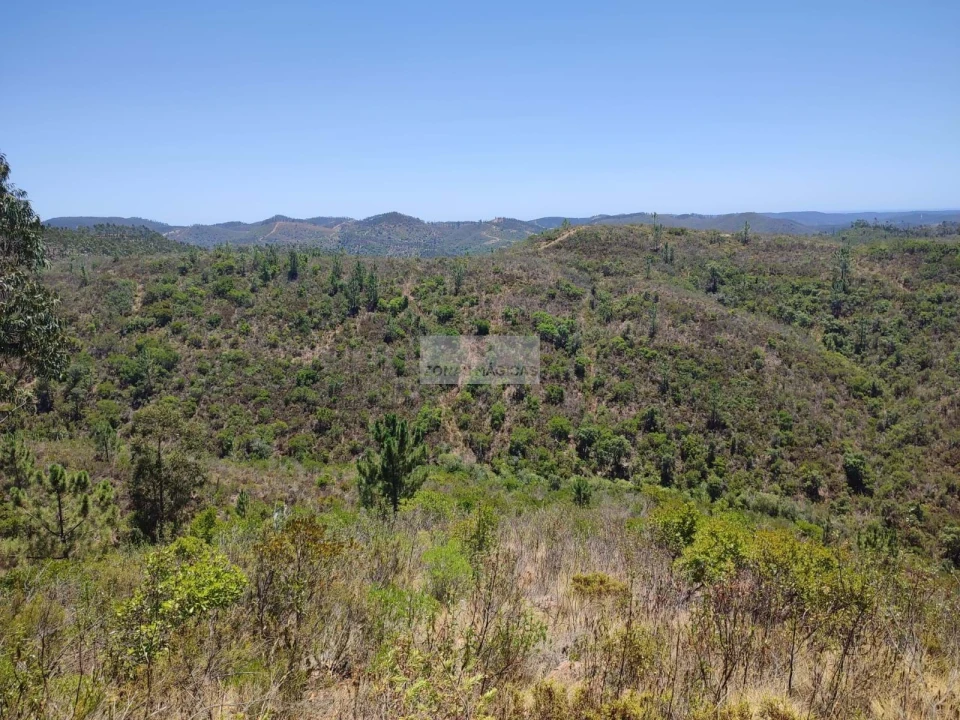 Terreno para Venda em Marmelete Foto 10