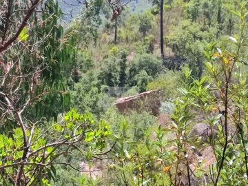 Terreno para Venda em Monchique