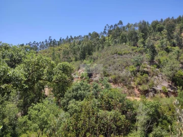 Terreno para Venda em Monchique