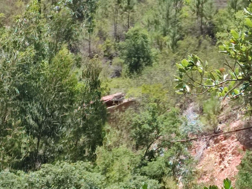 Terreno para Venda em Monchique Foto 2