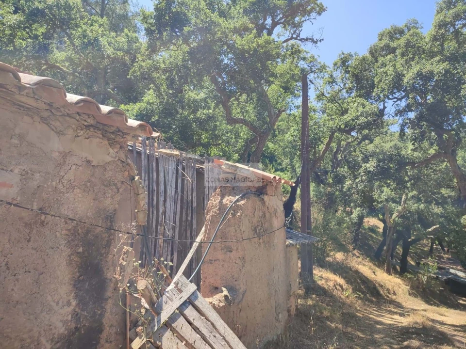 Terreno para Venda em Marmelete Foto 10