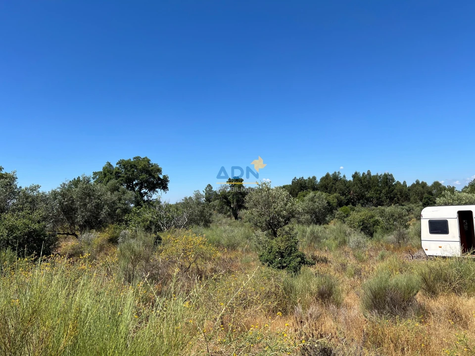 Terreno para Venda em Castelo Branco Foto 3