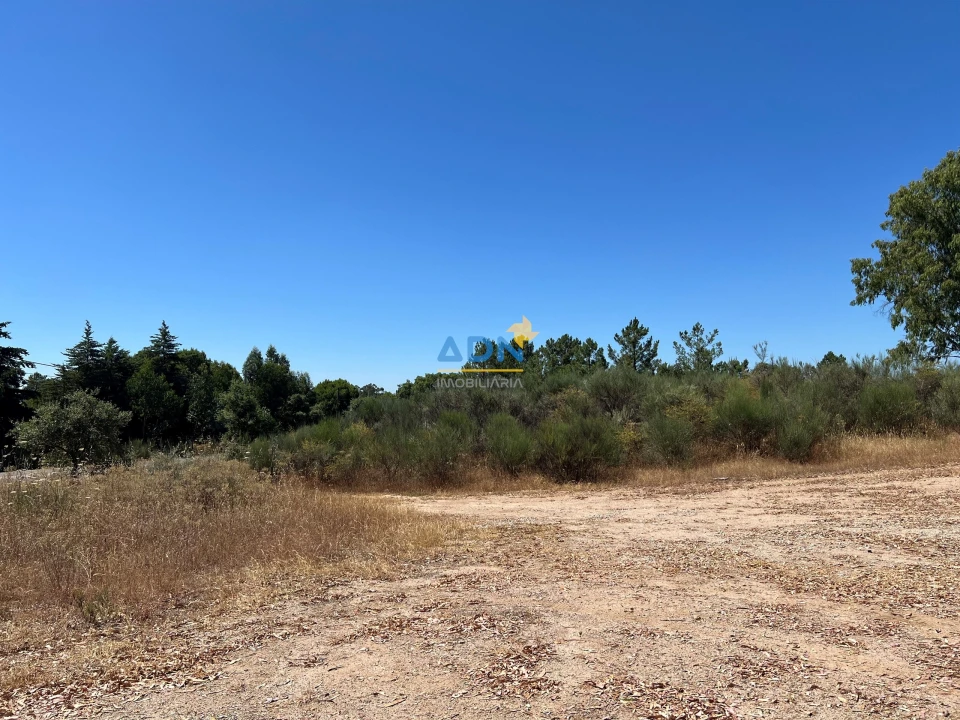 Terreno para Venda em Castelo Branco Foto 2