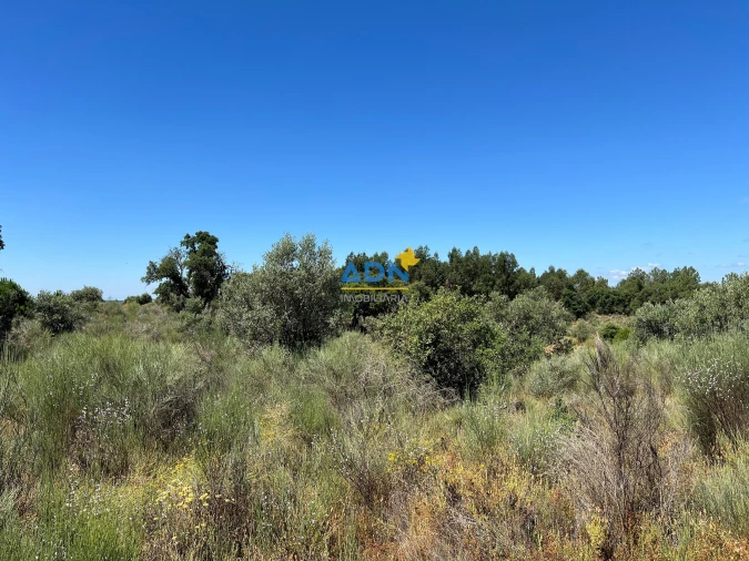 Terreno para Venda em Castelo Branco Foto 7