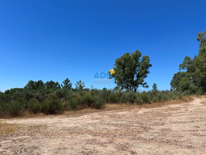 Terreno para Venda em Castelo Branco Foto 1