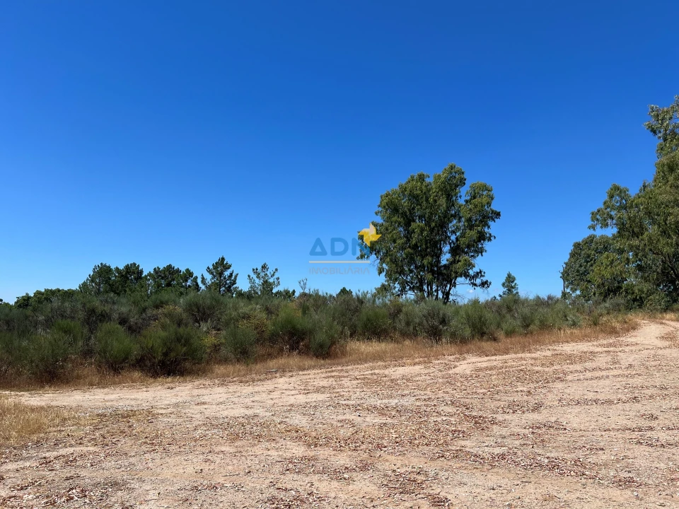 Terreno para Venda em Castelo Branco Foto 1