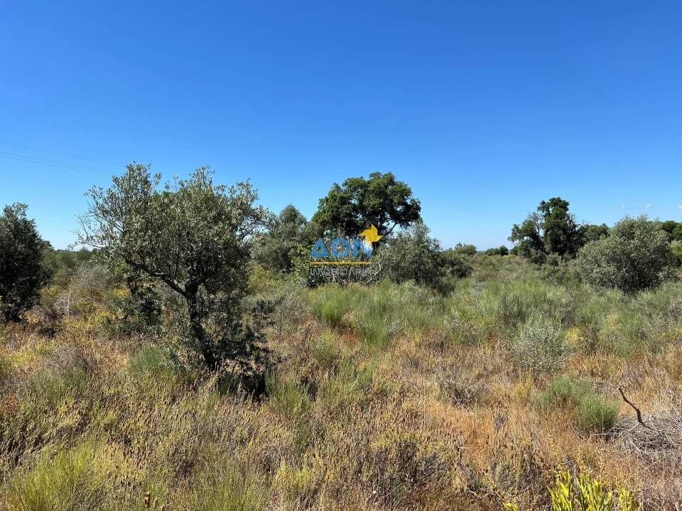 Terreno para Venda em Castelo Branco Foto 6