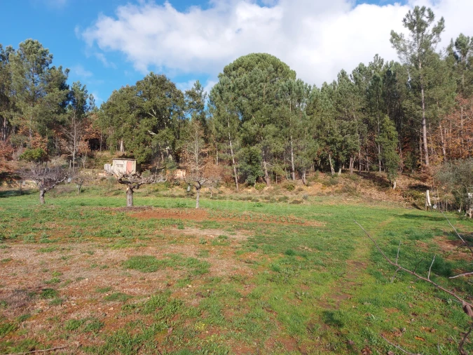 Terreno para Venda em Côja e Barril de Alva Foto 1