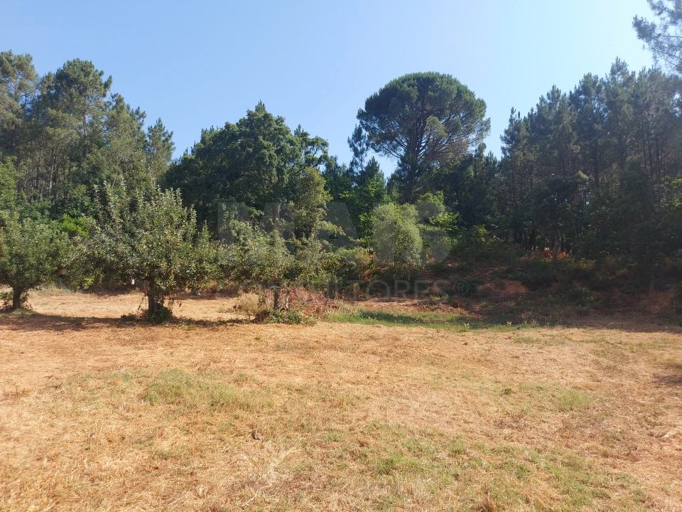 Terreno para Venda em Côja e Barril de Alva Foto 5
