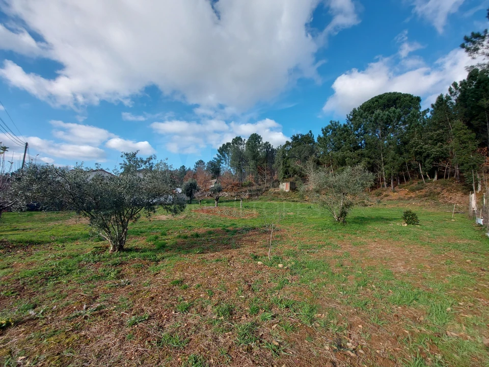 Terreno para Venda em Côja e Barril de Alva Foto 2
