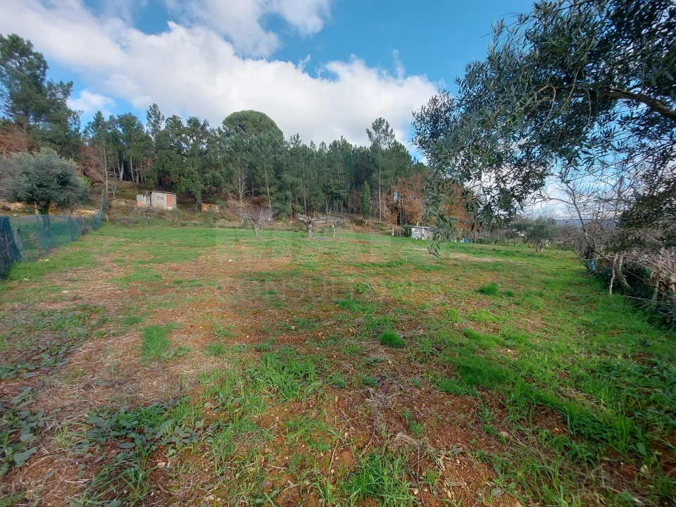 Terreno para Venda em Côja e Barril de Alva Foto 4