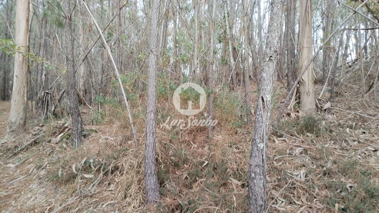 Terreno Agricola ou Rústico para Venda em Vilar da Veiga Foto 4