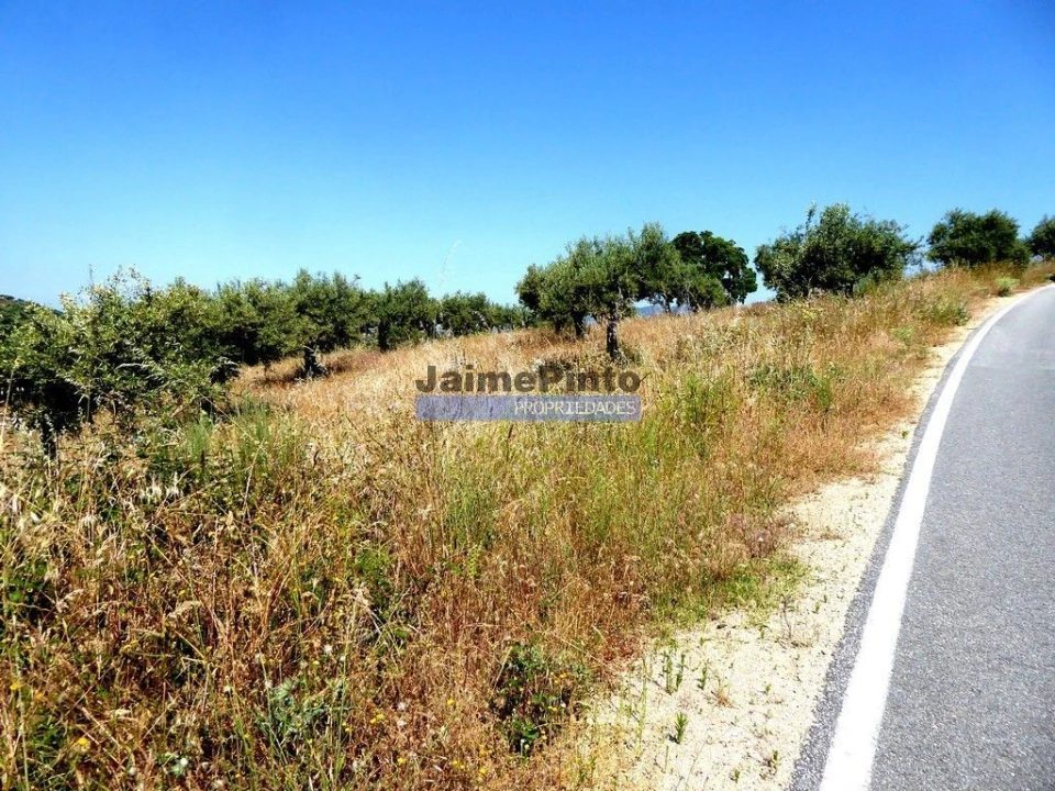 Terreno Agricola ou Rústico para Venda em Escalhão Foto 8