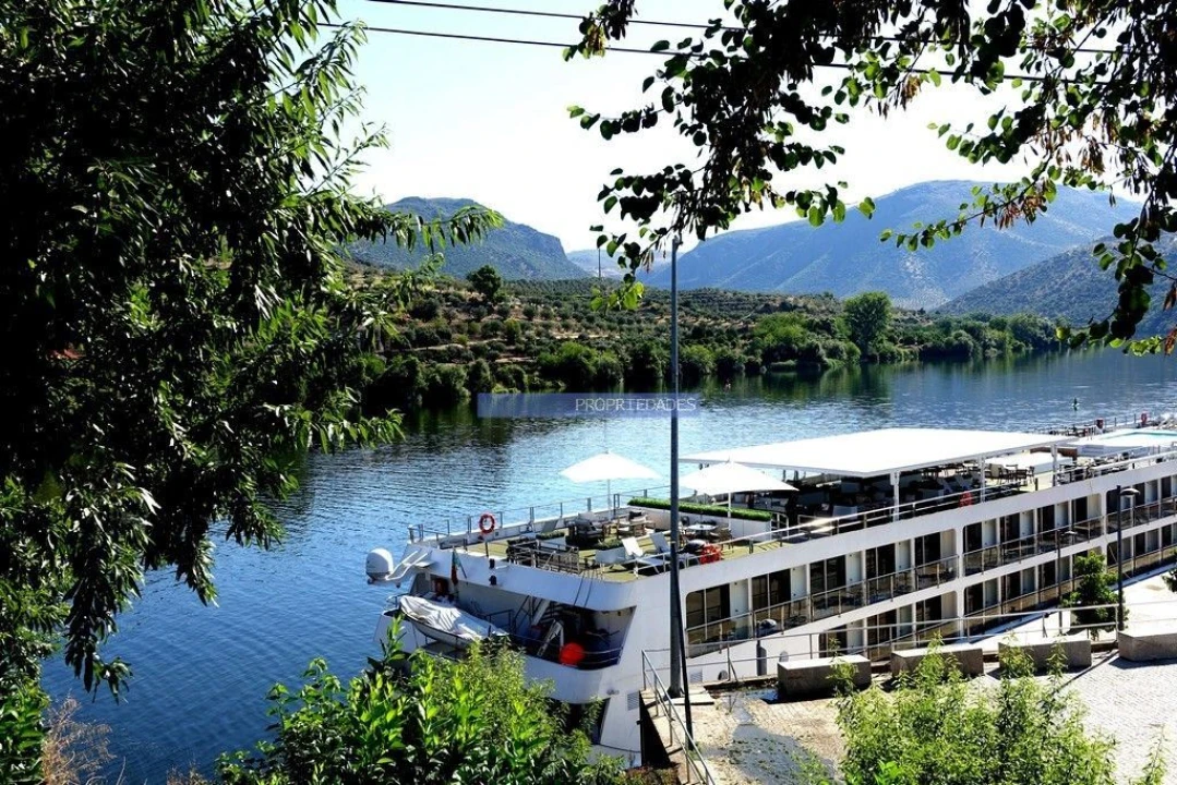 Terreno Agricola ou Rústico para Venda em Escalhão Foto 9