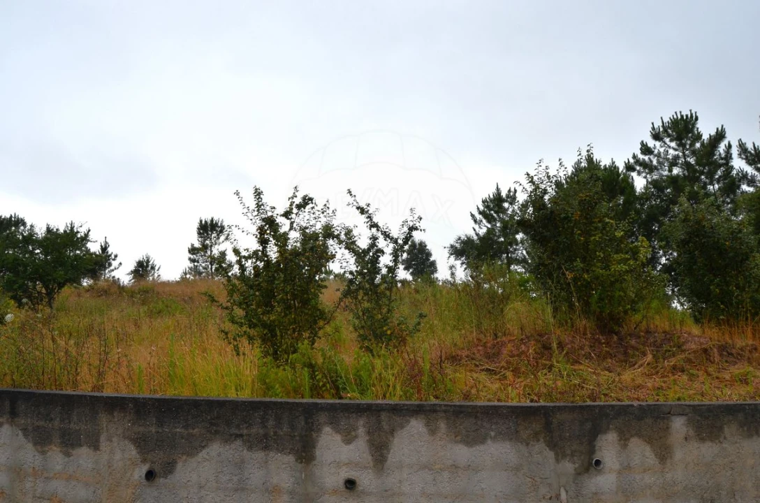 Terreno para Venda em Olhalvo Foto 9