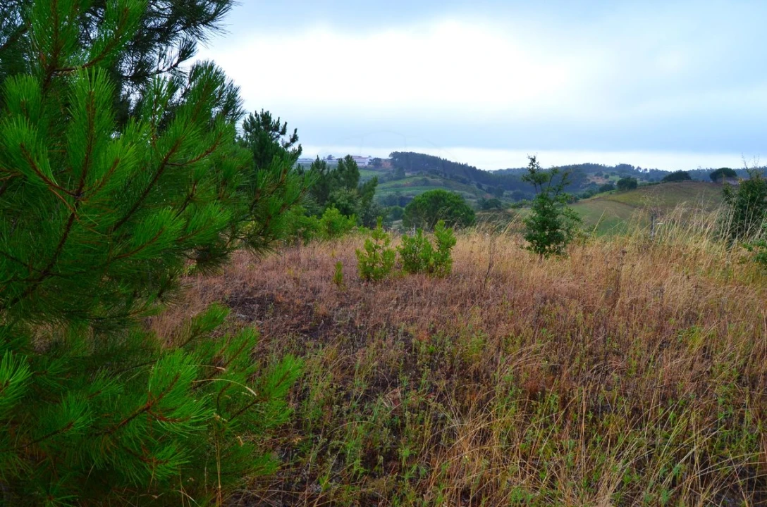 Terreno para Venda em Olhalvo Foto 14