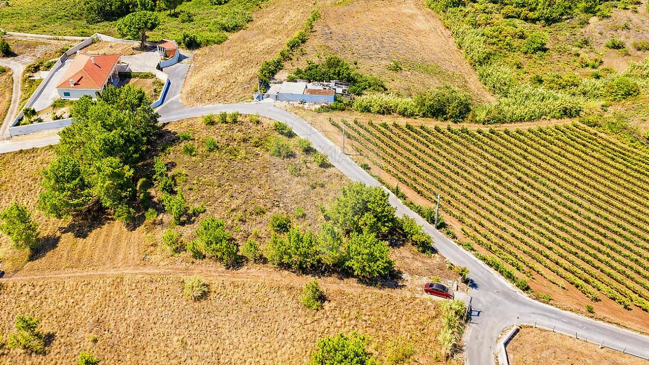 Terreno para Venda em Olhalvo Foto 3