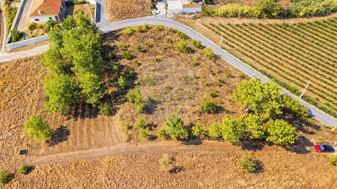 Terreno para Venda em Olhalvo