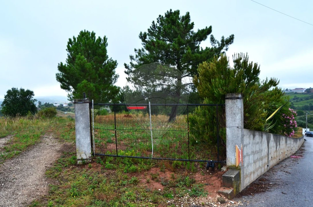 Terreno para Venda em Olhalvo Foto 2